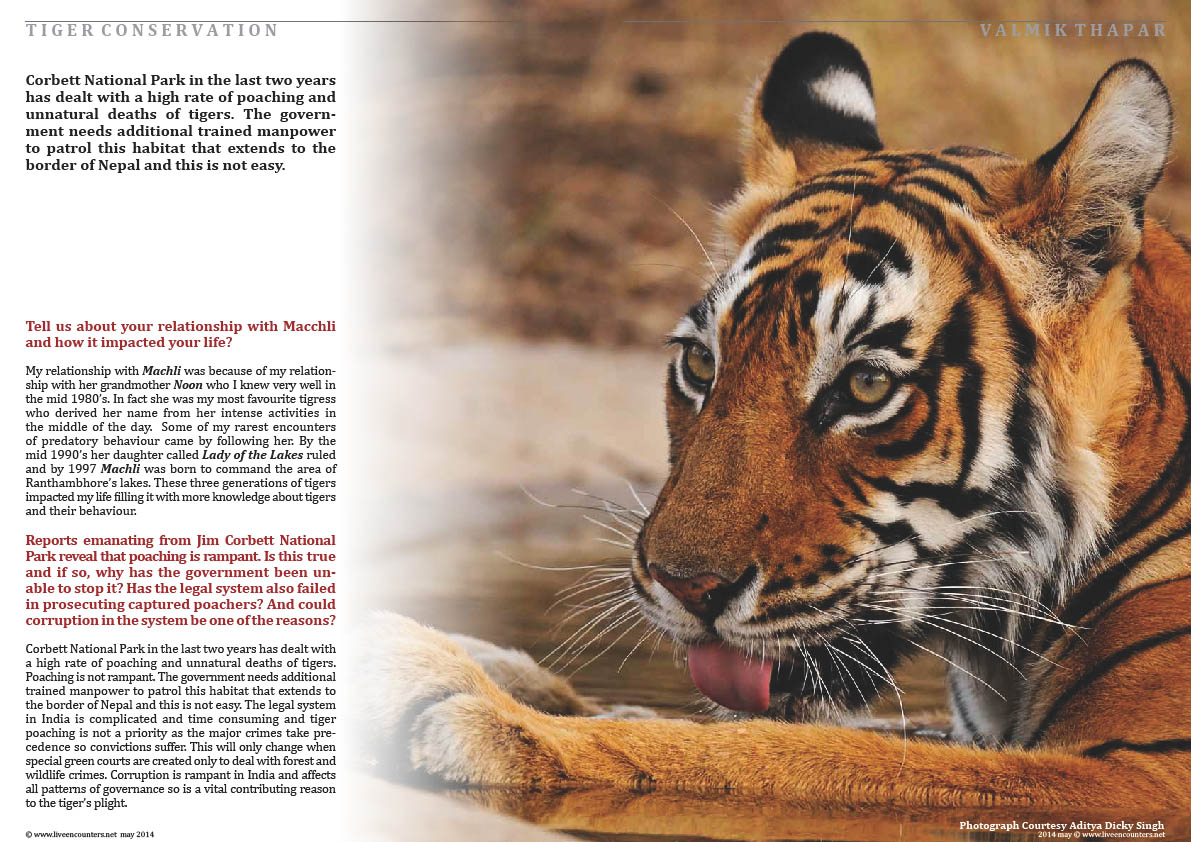 Valmik Thapar Guardian of the Tiger - Page 02
