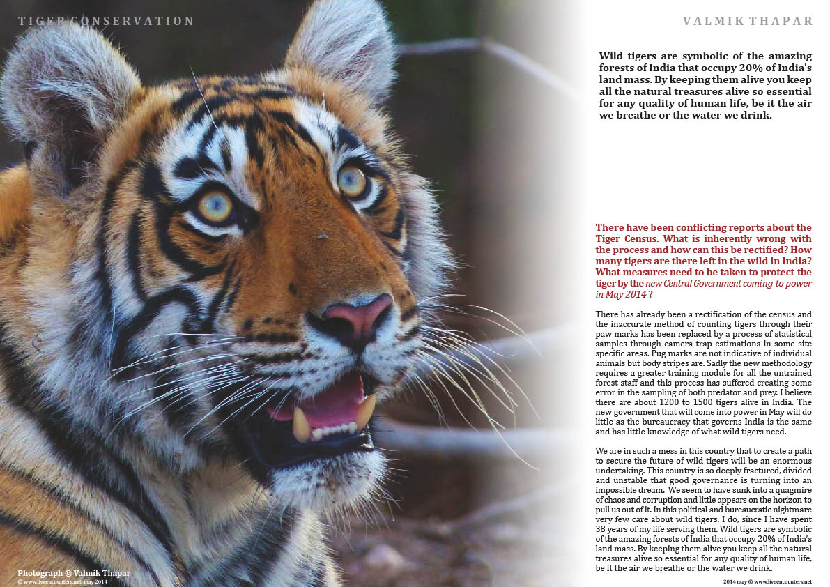 Valmik Thapar Guardian of the Tiger - Page 05