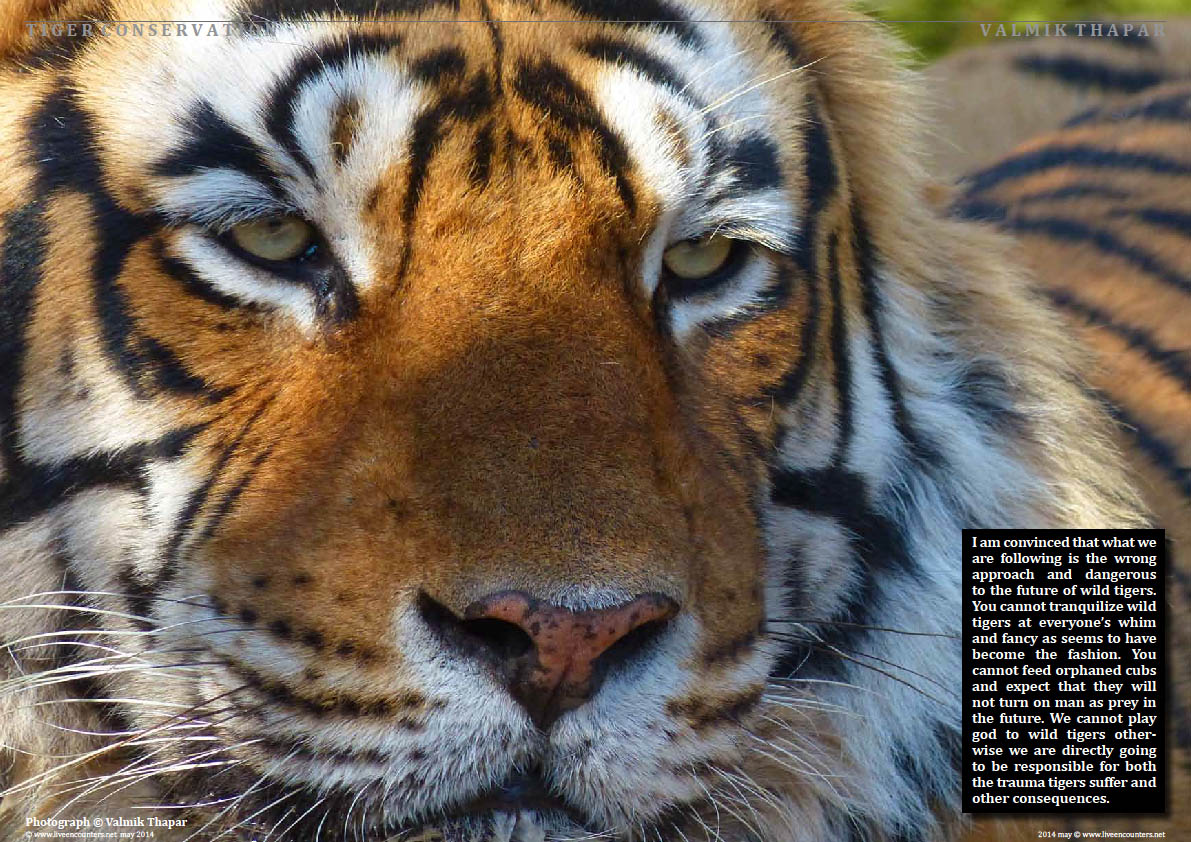 Valmik Thapar Guardian of the Tiger - Page 06