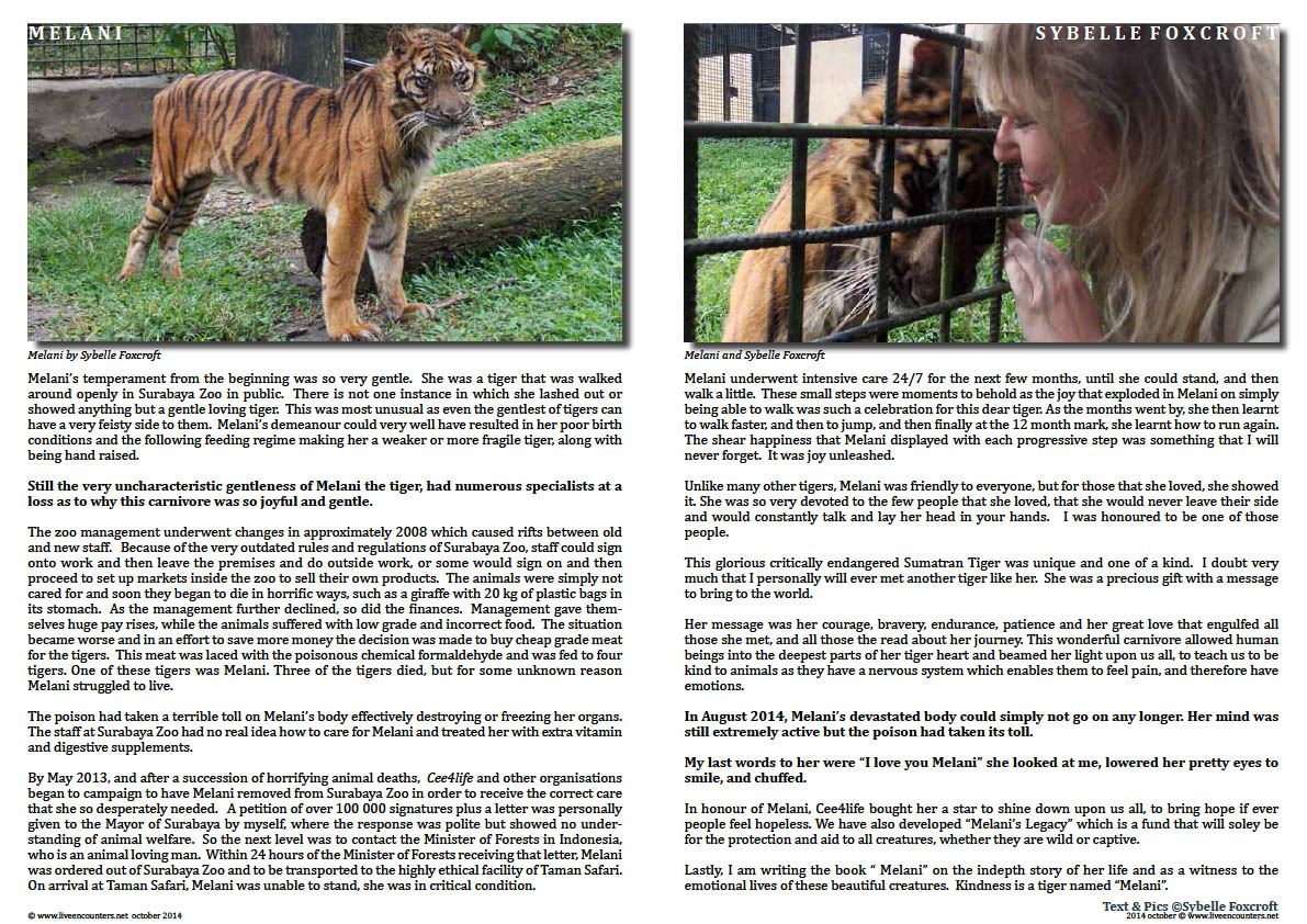 Page 02 Melani - Remembering a beautiful gentle soul by Sybelle Foxcroft Live Encounters Magazine 