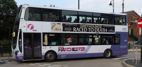 Raced to death bus sticker