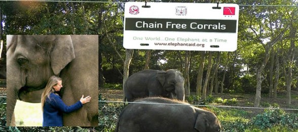 Carol Buckley Chains Free Campaign for Elephants Live Encounters Magazine Volume Two 2014