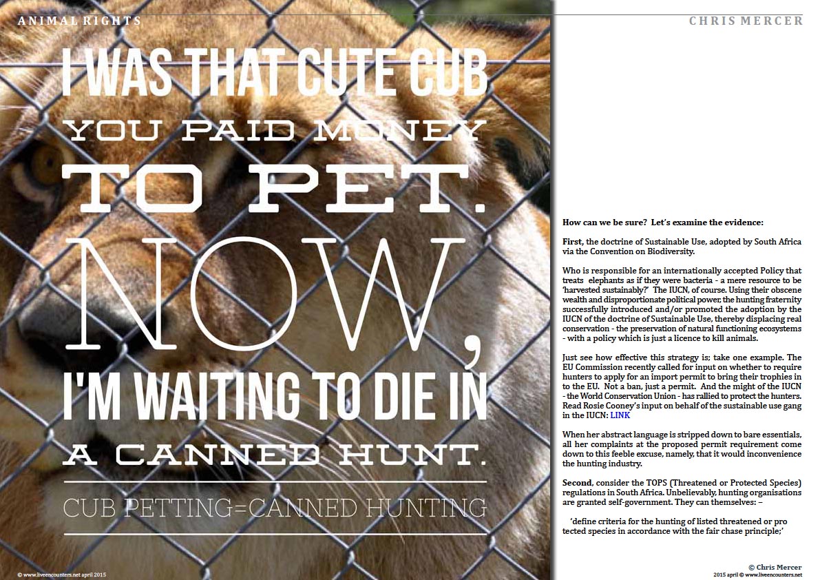 Page Two Chris Mercer on Canned Lion hunting and Regulatory Capture Live Encounters Magazine April 2015