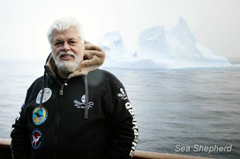 Captain Paul Watson of Sea Shepherd Conservation Society