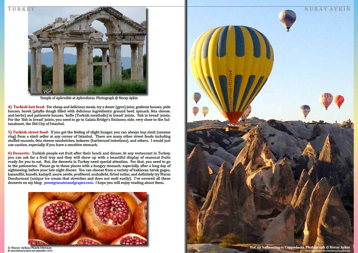Page Six Dr Nuray Aykin author of Pomegranates and Grapes: Landscapes from My Childhood in an exclusive interview with Mark Ulyseas Live Encounters Magazine September 2015