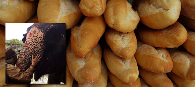 Profile mark ulyseas breaking bread in peace live encounters magazine october 2015