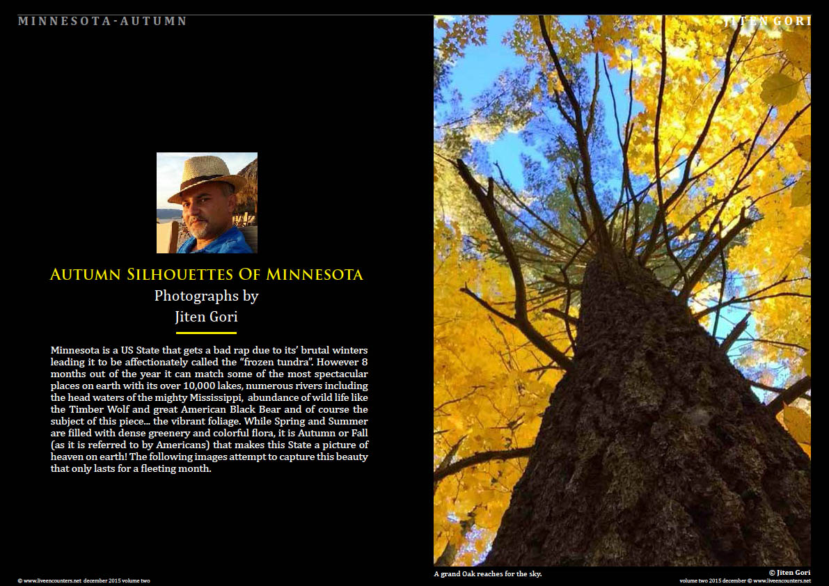 Live Encounters Magazine Jiten Gori Autumn Silhouettes of Minnesota Volume Two December 2015 Page 01 