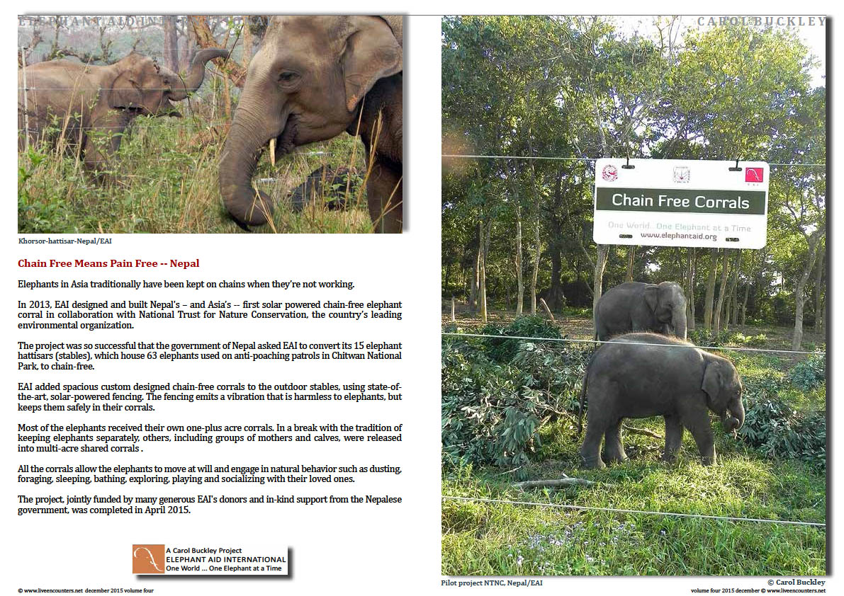 Live Encounters Magazine Carol Buckley Elephant Aid International Continues our Transformative Work in Asia Volume Four December 2015  Page 02 