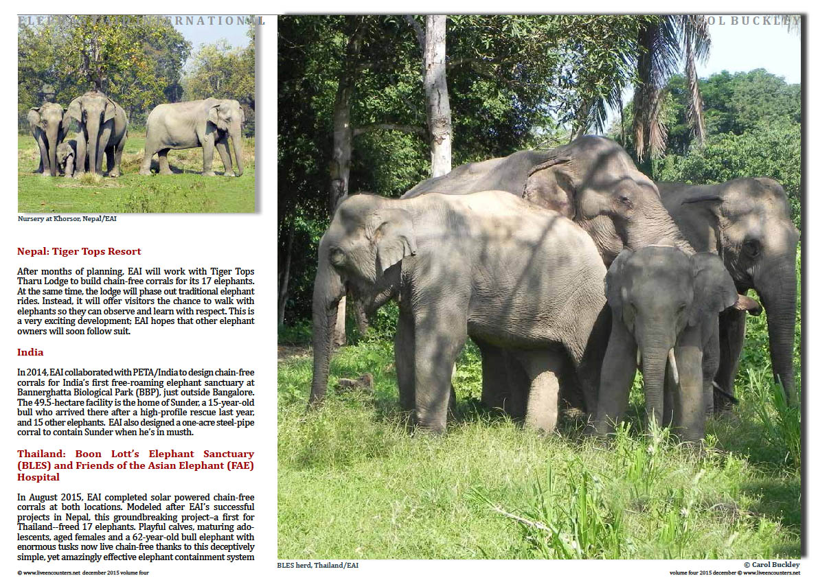 Live Encounters Magazine Carol Buckley Elephant Aid International Continues our Transformative Work in Asia Volume Four December 2015  Page 04 