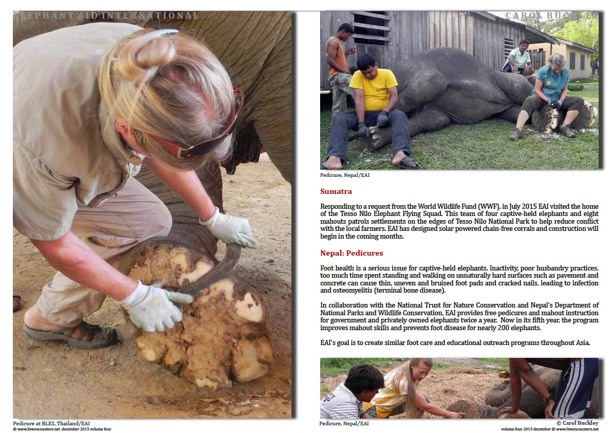 Live Encounters Magazine Carol Buckley Elephant Aid International Continues our Transformative Work in Asia Volume Four December 2015  Page 05 