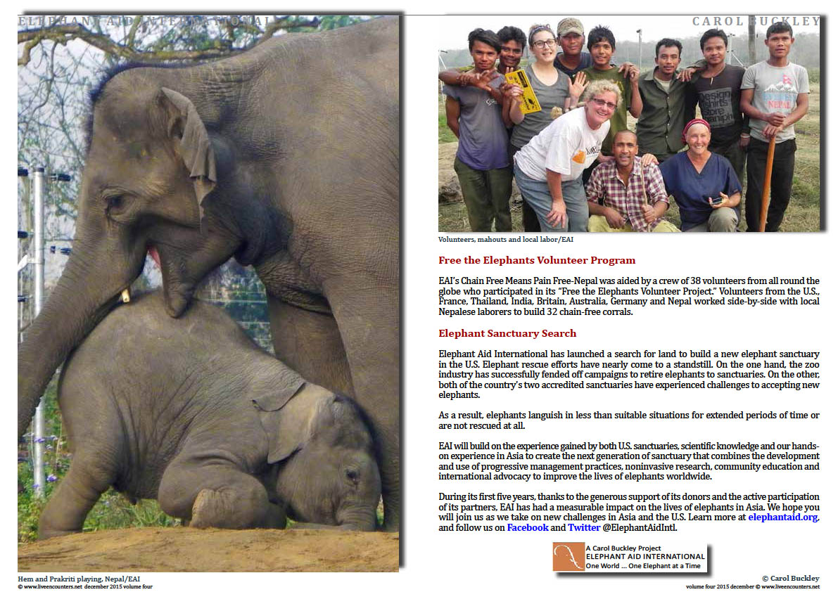Live Encounters Magazine Carol Buckley Elephant Aid International Continues our Transformative Work in Asia Volume Four December 2015  Page 06 