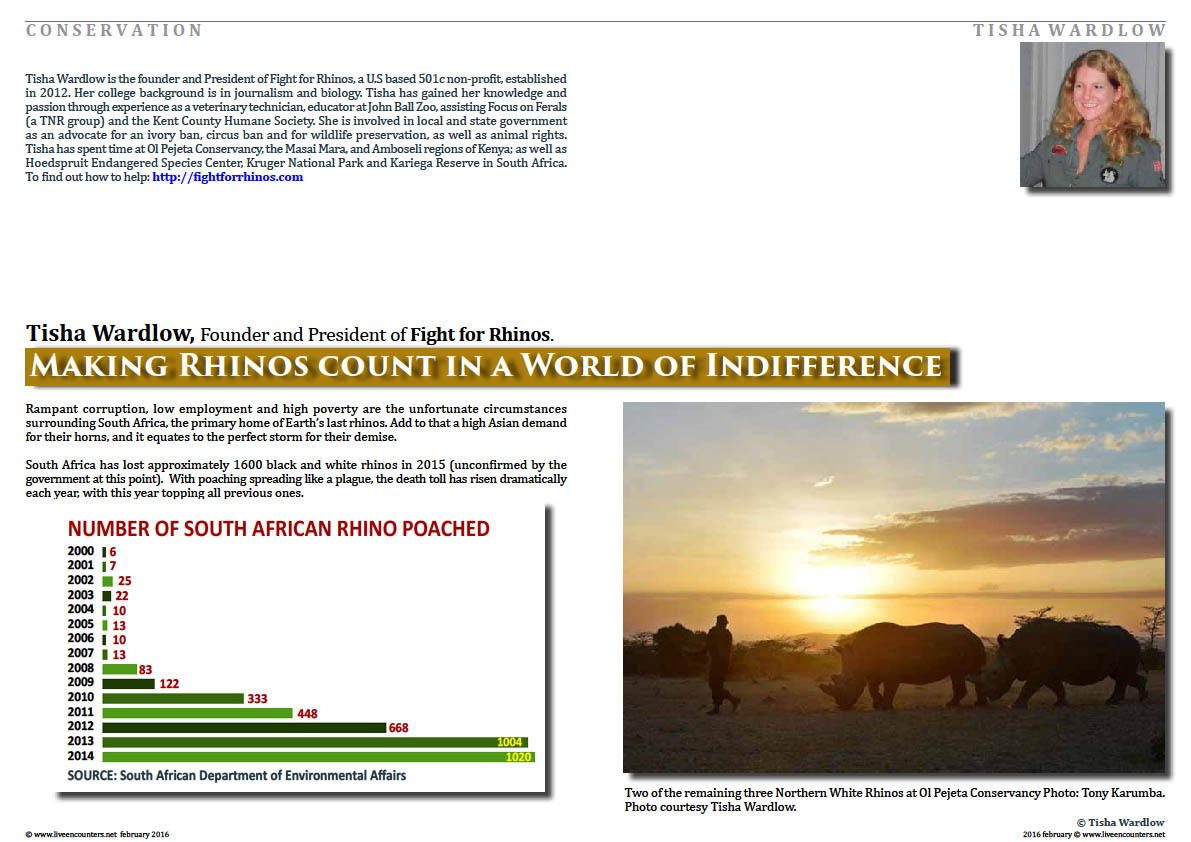 Page 1 Making Rhinos Count in a World of Indifference by Tisha Wardlow Live Encounters Magazine February 2016