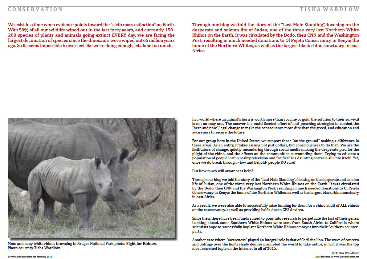 Page 2 Making Rhinos Count in a World of Indifference by Tisha Wardlow Live Encounters Magazine February 2016