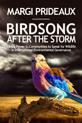 Birdsong After the Storm by Dr Margi Prideaux