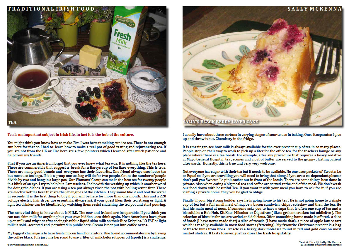 Sally McKenna's Journey home to traditional Irish Cooking - Page 01