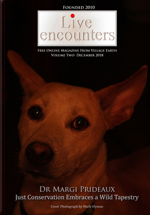 LE Mag Vol Two Dec 2018 PDF