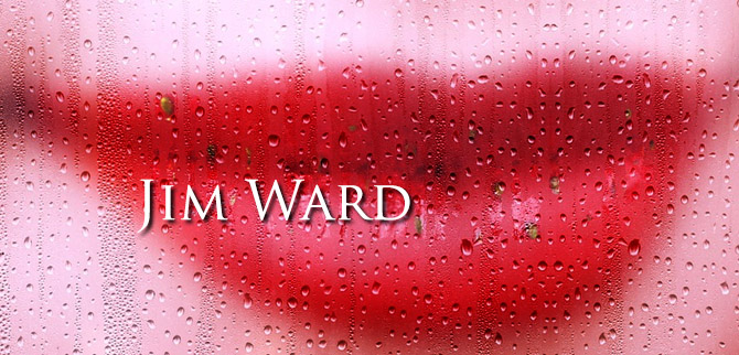 Jim Ward profile LE P&W Feb 2020