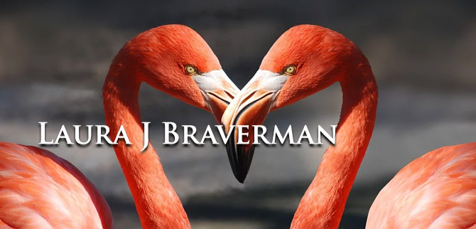 Laura J Braverman profile LE P&W Feb 2020-1