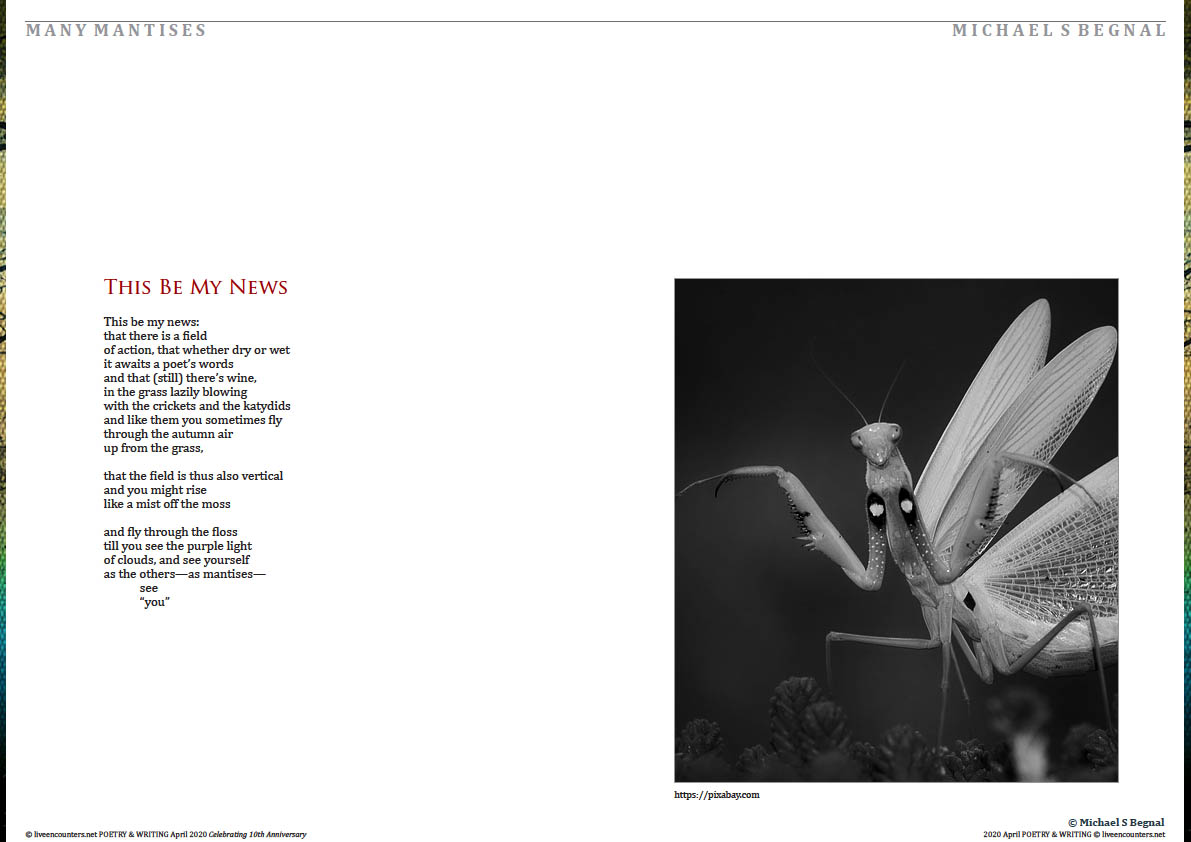 3 Michael Begnal LE P&W April 2020