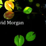 Profile David Morgan LE Mag April 2020