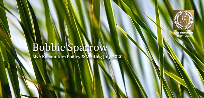 Sparrow profile