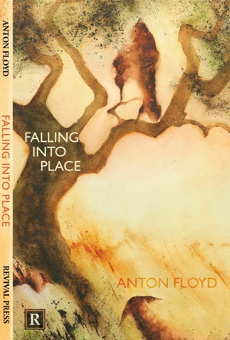 Falling into Place by Anton Floyd