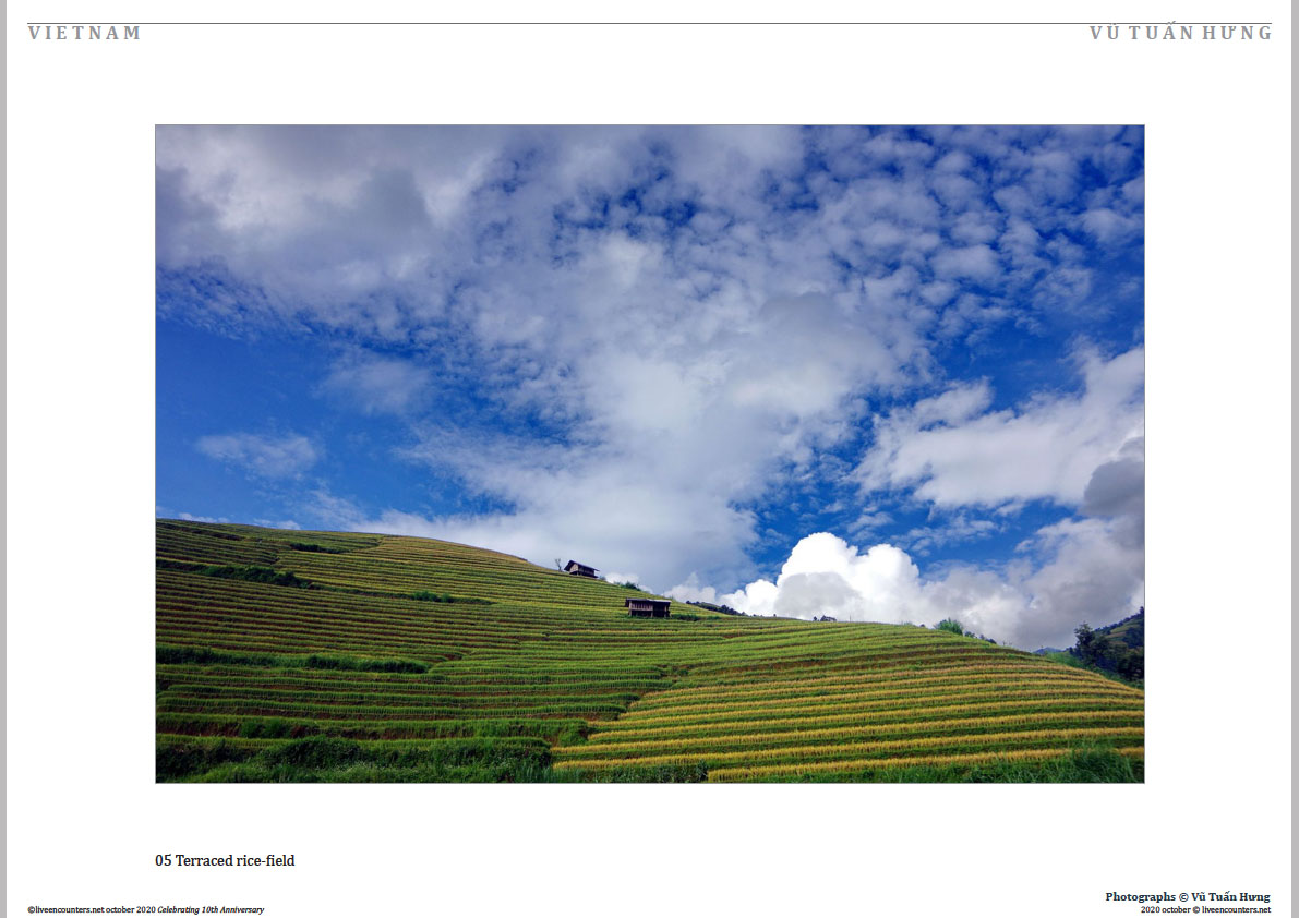 05 Vu Tuan Hung Oct 2020