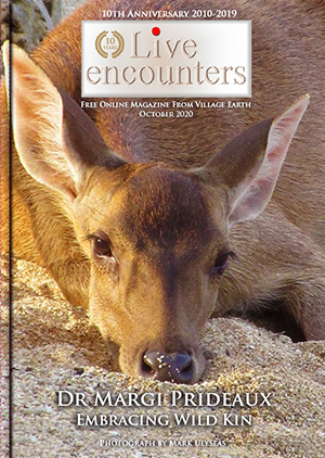 LE Mag October 2020pdf