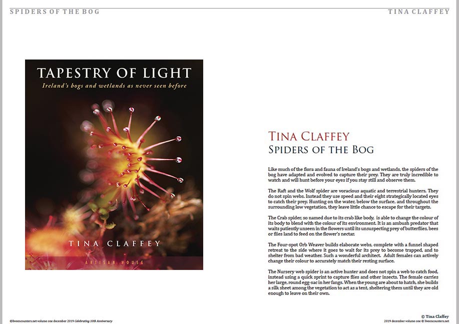 01 © Tina Claffey LE Dec 2019