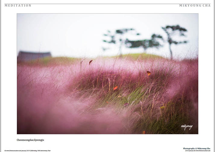 02 © Mikyoung Cha LE Mag Jan 2019