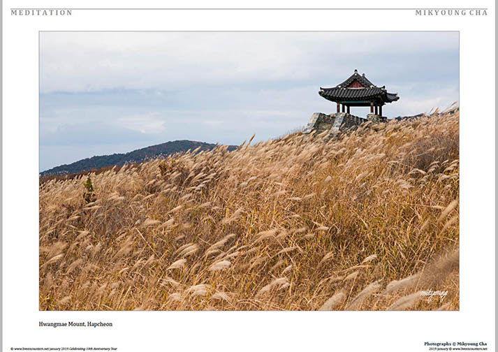 03 © Mikyoung Cha LE Mag Jan 2019