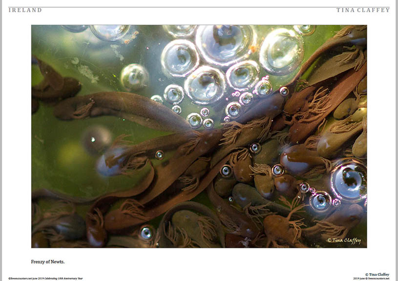 03© Tina Claffey LE Mag June 2019