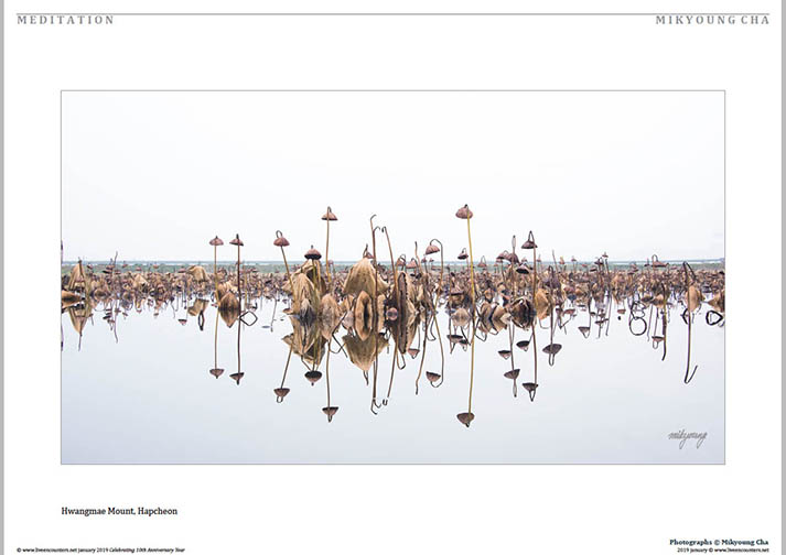 04 © Mikyoung Cha LE Mag Jan 2019