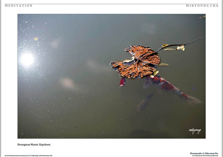 05 © Mikyoung Cha LE Mag Jan 2019
