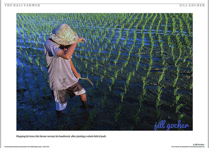 05 © Jill Gocher LE Mag Vol Two Dec 2018