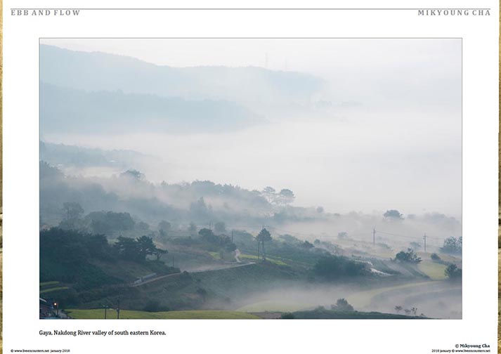 2 Mikyoung Cha Ebb and Flow Live Encounters Magazine January 2018