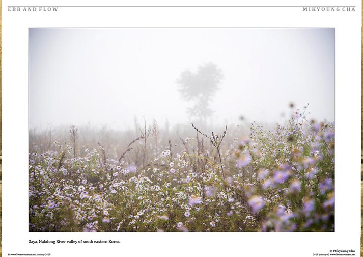 3 Mikyoung Cha Ebb and Flow Live Encounters Magazine January 2018