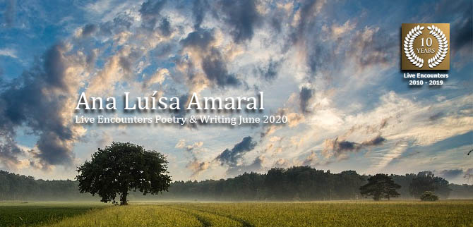 AnaLuísaAmaral profile