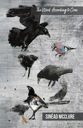 The Word according to Crow Sinead McClure s