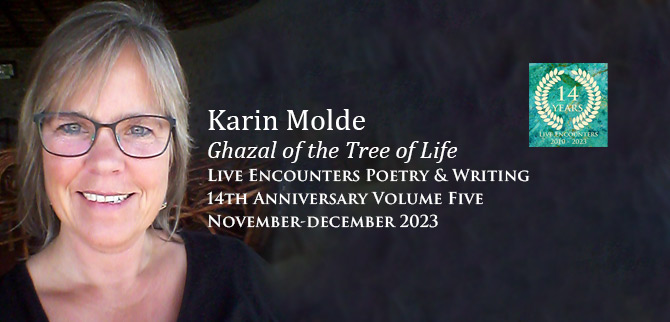 Molde LE P&W 5 Nov-Dec 2023