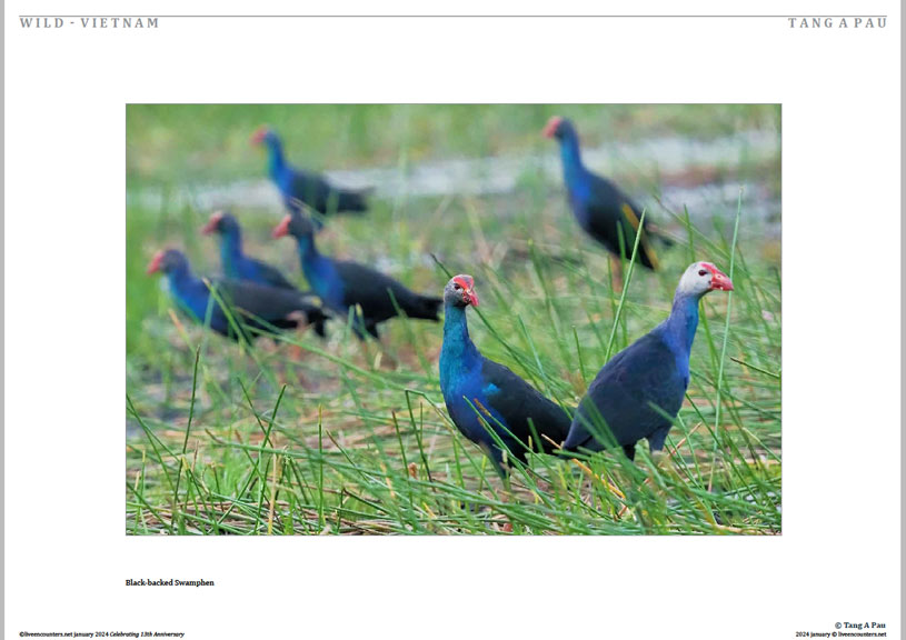 02 © Pau LE Mag Jan 2024