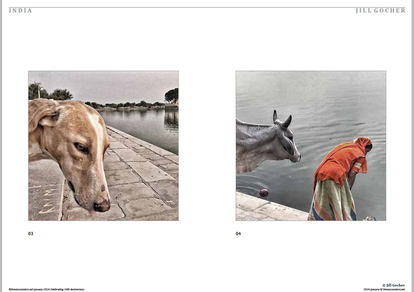 03 © Jill Gocher LE Mag Jan 2024