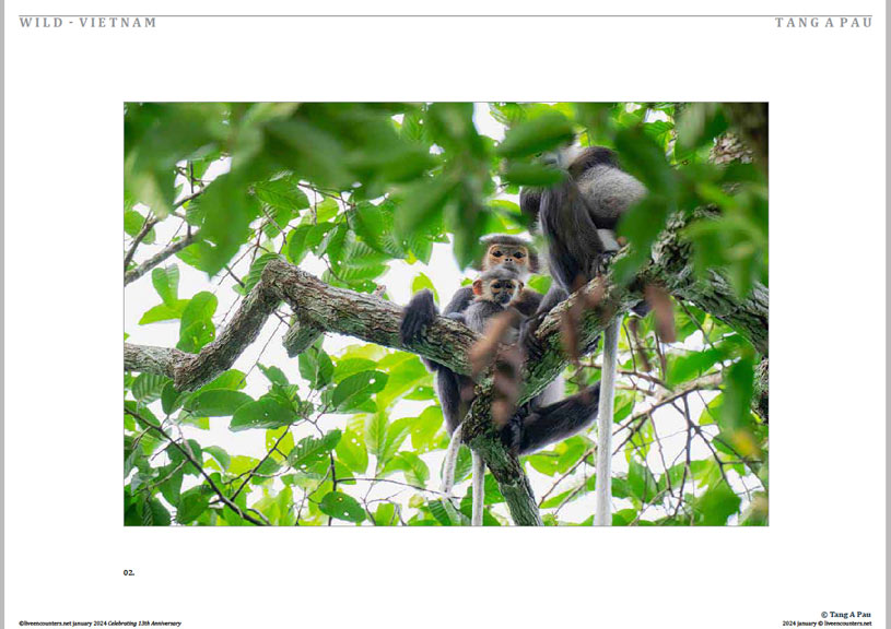 03 © Pau LE Mag Jan 2024