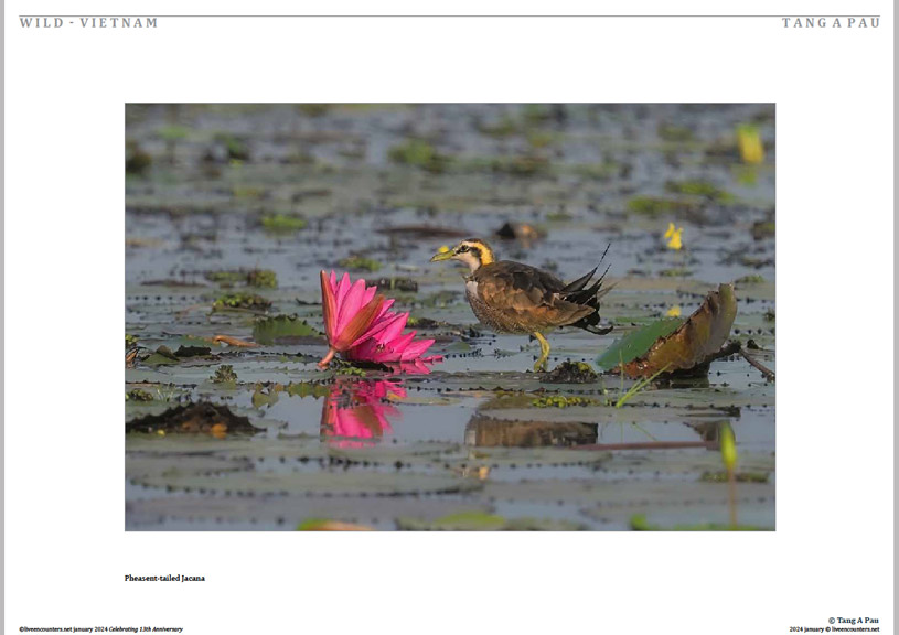 04 © Pau LE Mag Jan 2024