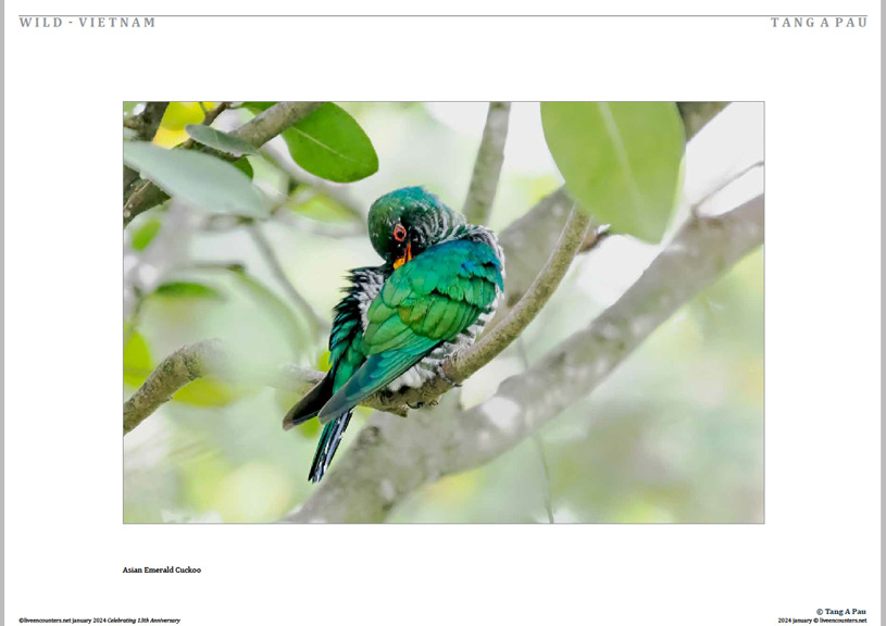 05 © Pau LE Mag Jan 2024