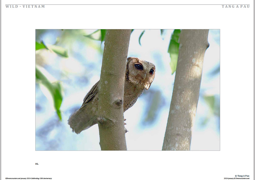 06 © Pau LE Mag Jan 2024