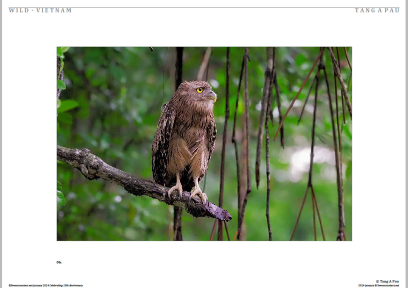 07 © Pau LE Mag Jan 2024