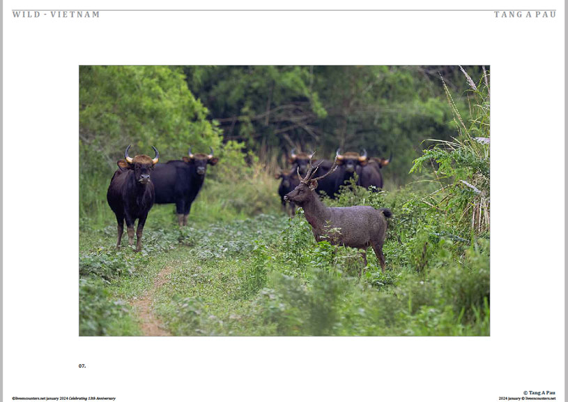 08 © Pau LE Mag Jan 2024