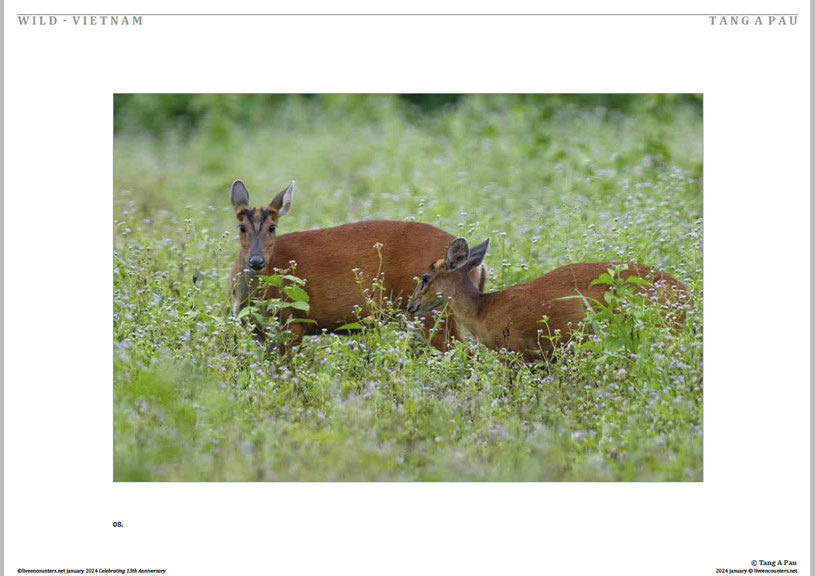 09 © Pau LE Mag Jan 2024