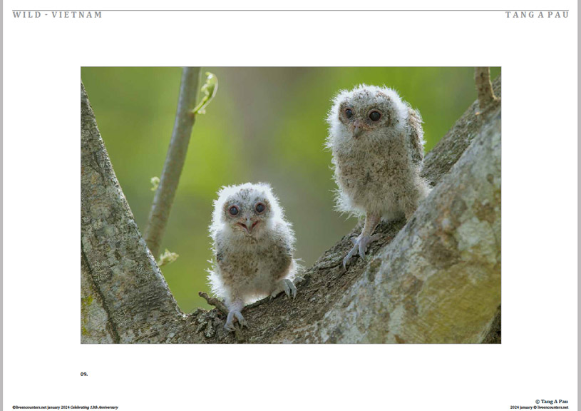 10 © Pau LE Mag Jan 2024